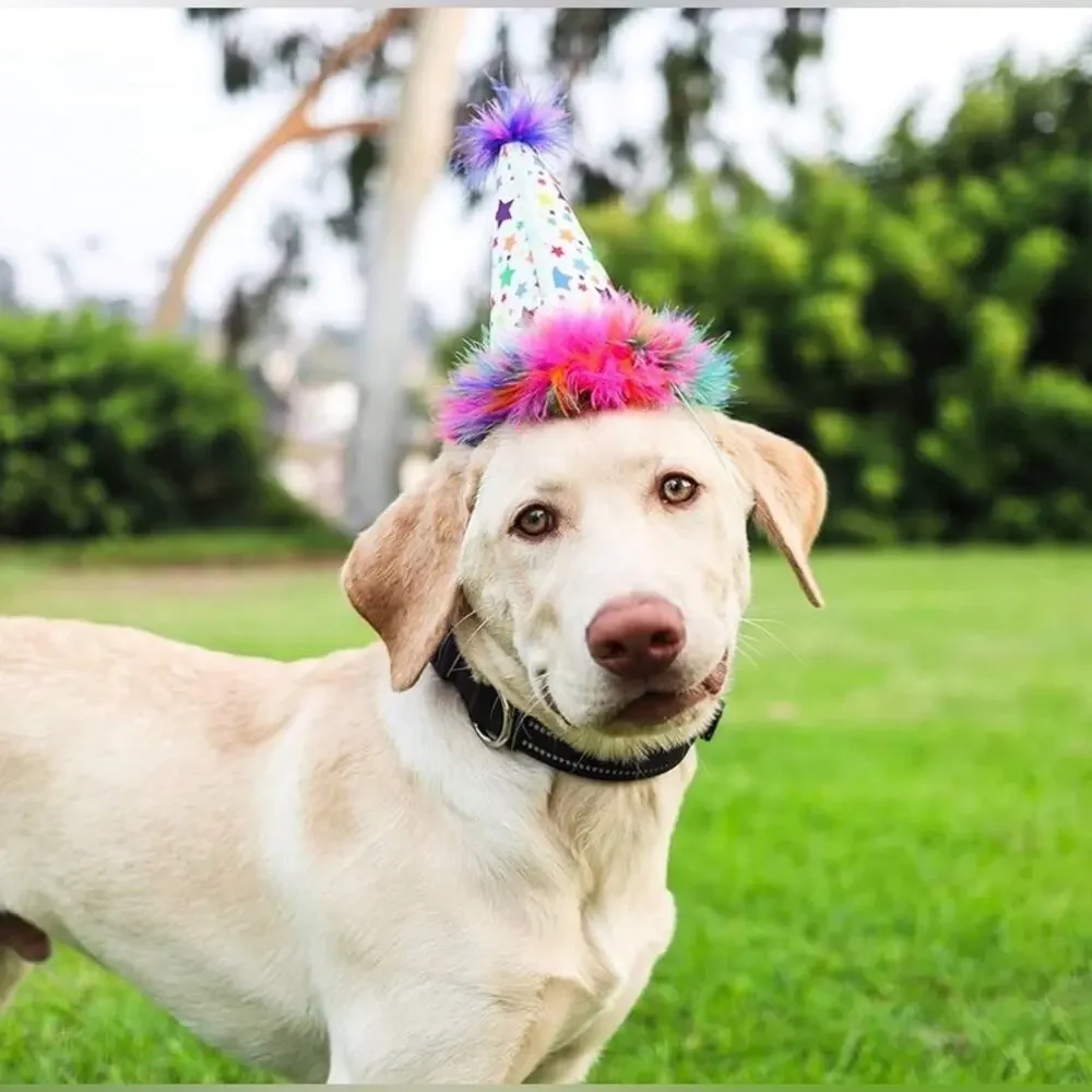 Dog/Cat Party Hat - Fun Birthday Hat w/ SnugFit Adjustable Straps -Comfy Costume